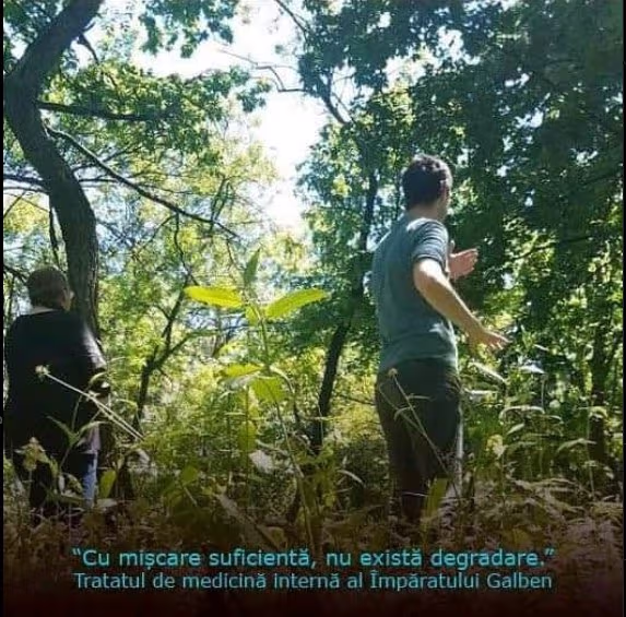 Exersare de Qigong în parcul Herăstrău, București