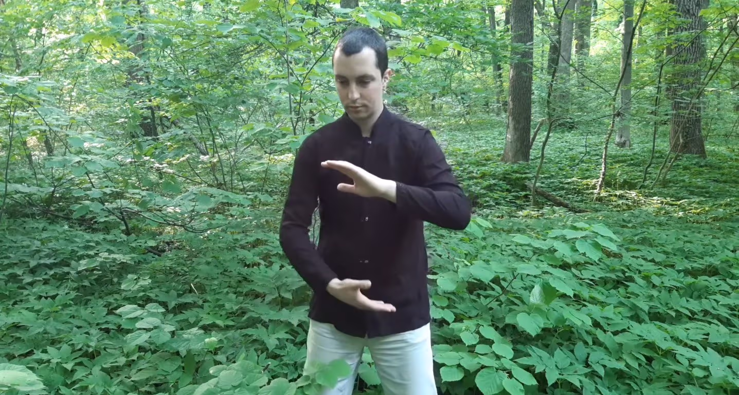 Practică Qigong la pădurea Băneasa, București